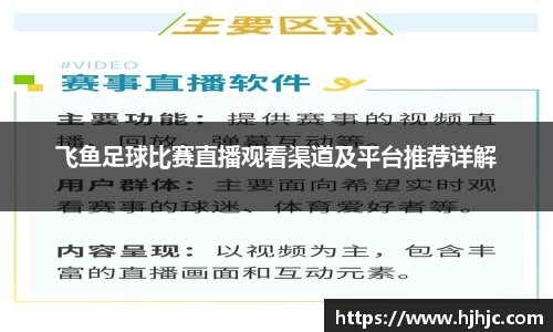 飞鱼足球比赛直播观看渠道及平台推荐详解